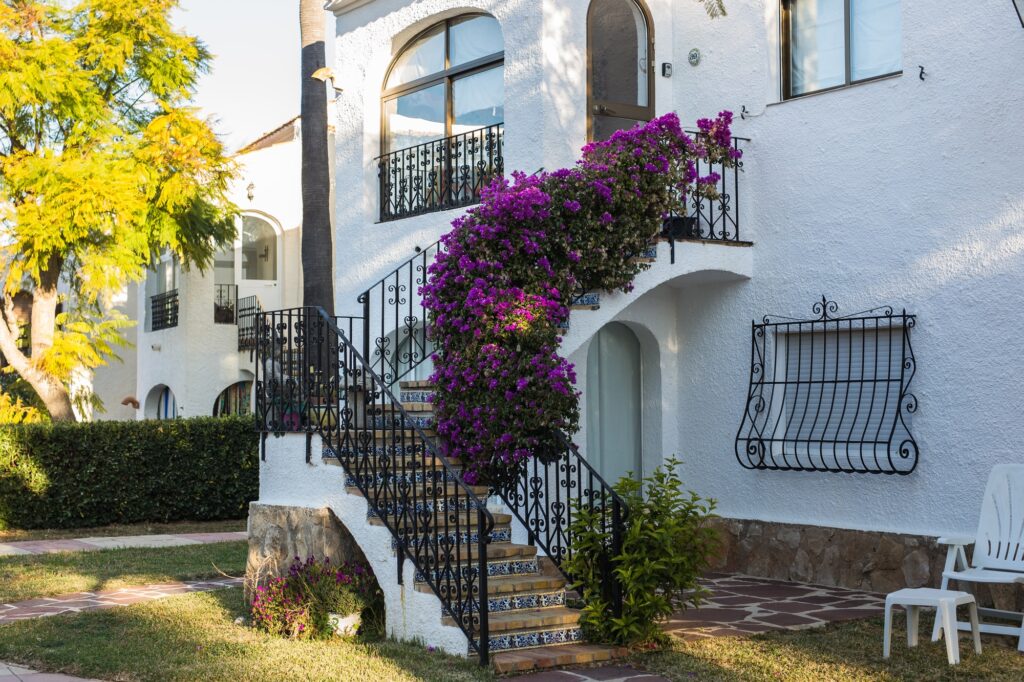 Beautiful exterior of newly built luxury home. Yard with green grass and walkway